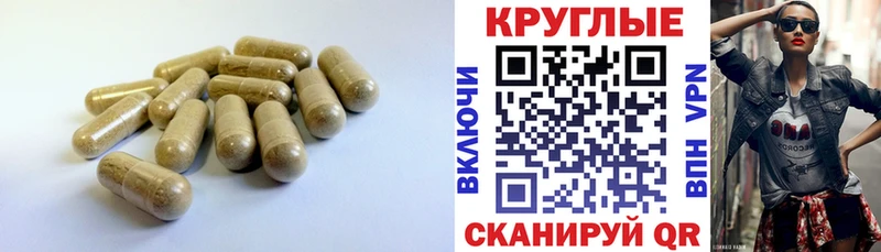 ОМГ ОМГ ТОР  Кольчугино  ЭКСТАЗИ mix 