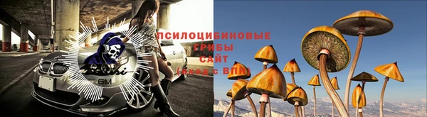 мяу мяу мука Белокуриха