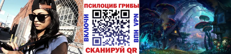 Галлюциногенные грибы Cubensis  где продают наркотики  Кольчугино 
